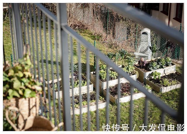 花园|参观53平小户型装修,步入式阳台设计成花园,回家也要照着做一个