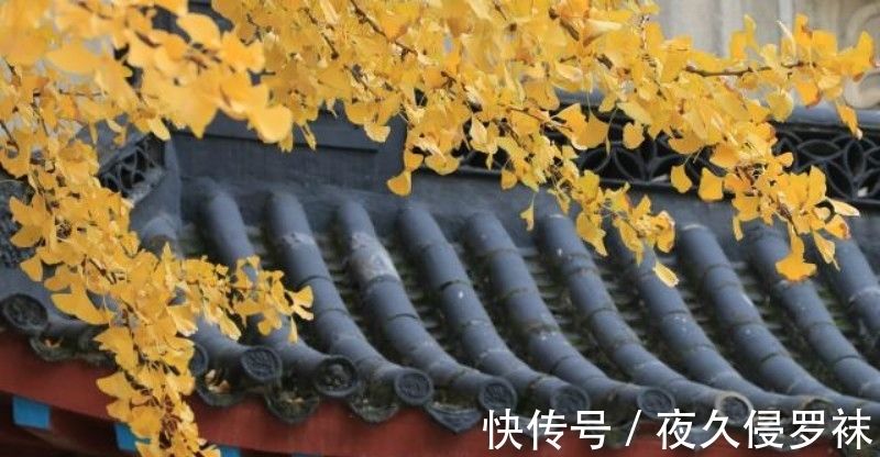 平生|高僧临终前写下平生唯一一首诗,短短28字,写出世人最向往的晚年