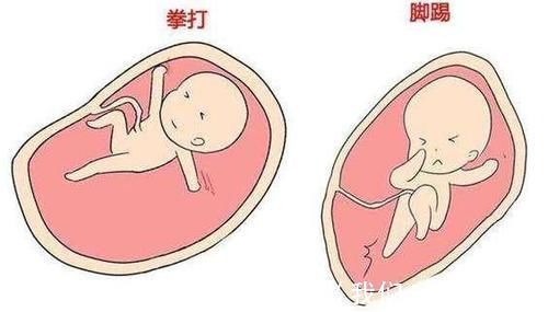 宝宝|胎儿每天在妈妈肚子里忙什么?除了吃和睡,他们有好多事情要忙!