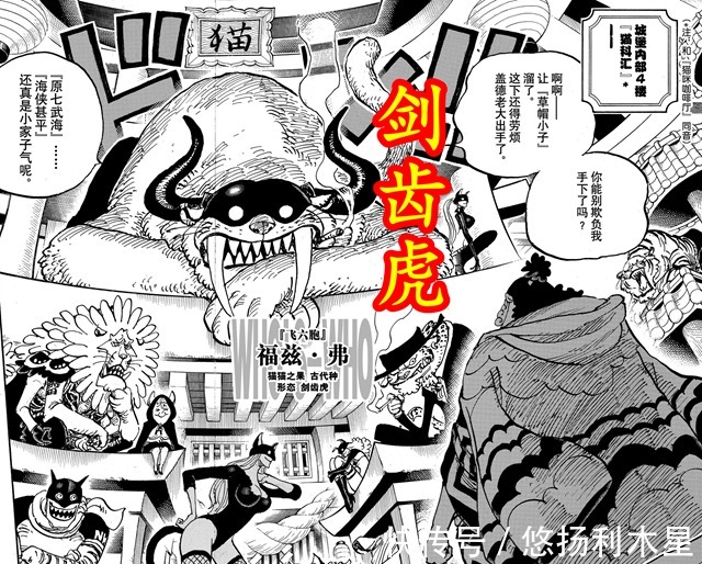 乌尔缇|海贼王998话飞六胞恶魔果实之力变身,全员都是稀有古代种