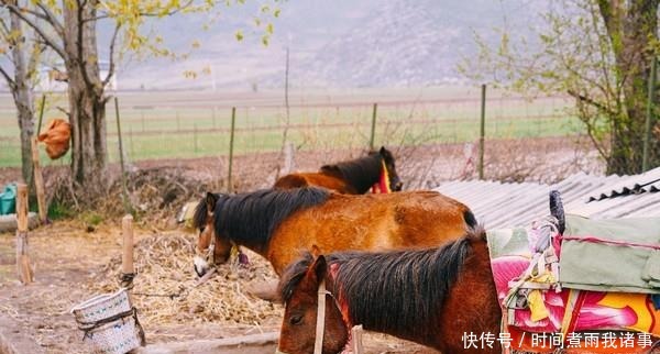 加速|到香格里拉不可错过的三个旅行体验，第一个就能让你心跳加速