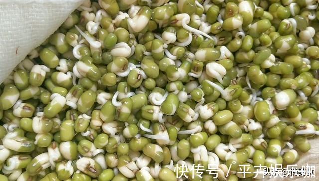 卫生|家庭自制绿豆芽，教你5个小秘诀，豆芽4天就能吃，安全卫生又营养