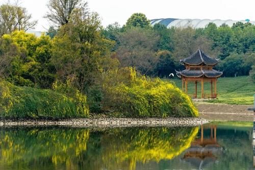 电子科技大学怎么样，太火爆，世界一流！