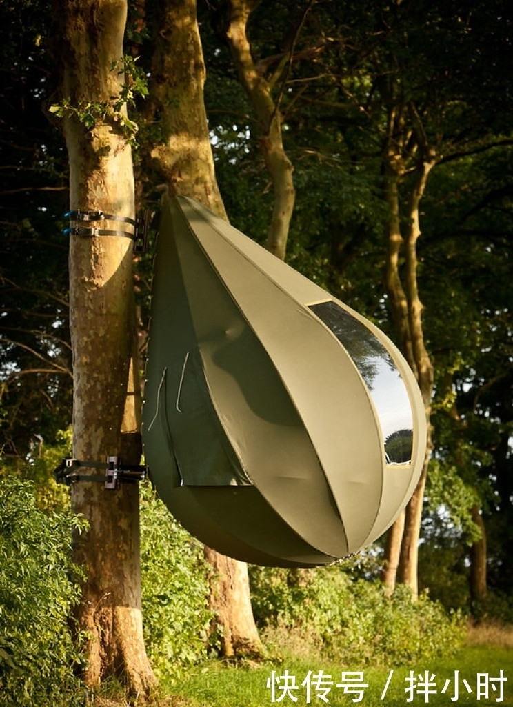 这些泪滴形帐篷可以将您挂在树上露营!