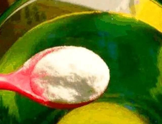 用白糖、白醋来养花,全都比不过1勺“白粉末”,除虫沤肥效果好