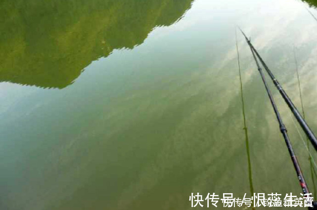 钓鱼|花了大把的银子,钓上来的鱼还是寥寥无几,说说如何自制鱼饵?