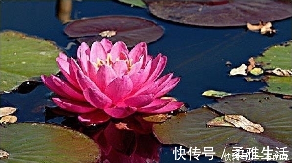 有福气|最有福气的4种脚相，此生衣食无忧，脚底踩黄金大富大贵！