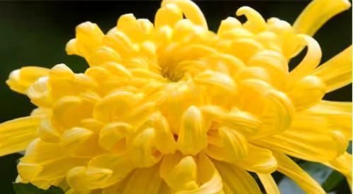 补充营养|人到中年想长寿,不妨多吃3种食物,补充营养,滋润身体!