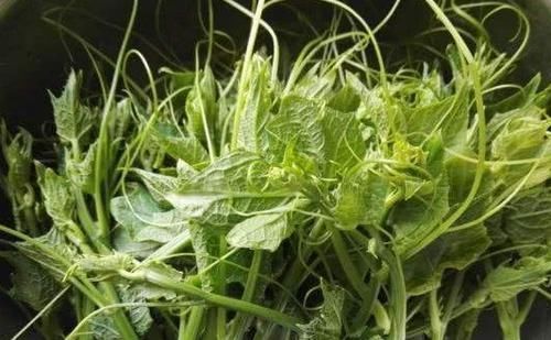 蔬菜|人到中年想长寿,推荐多吃3种蔬菜,润肠通便,清理体内毒素