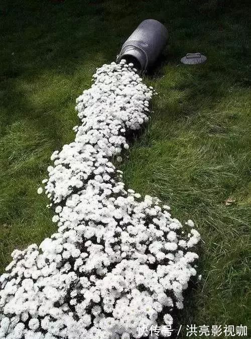 神器|别再花钱买普通花盆了,你意想不到的种花神器!