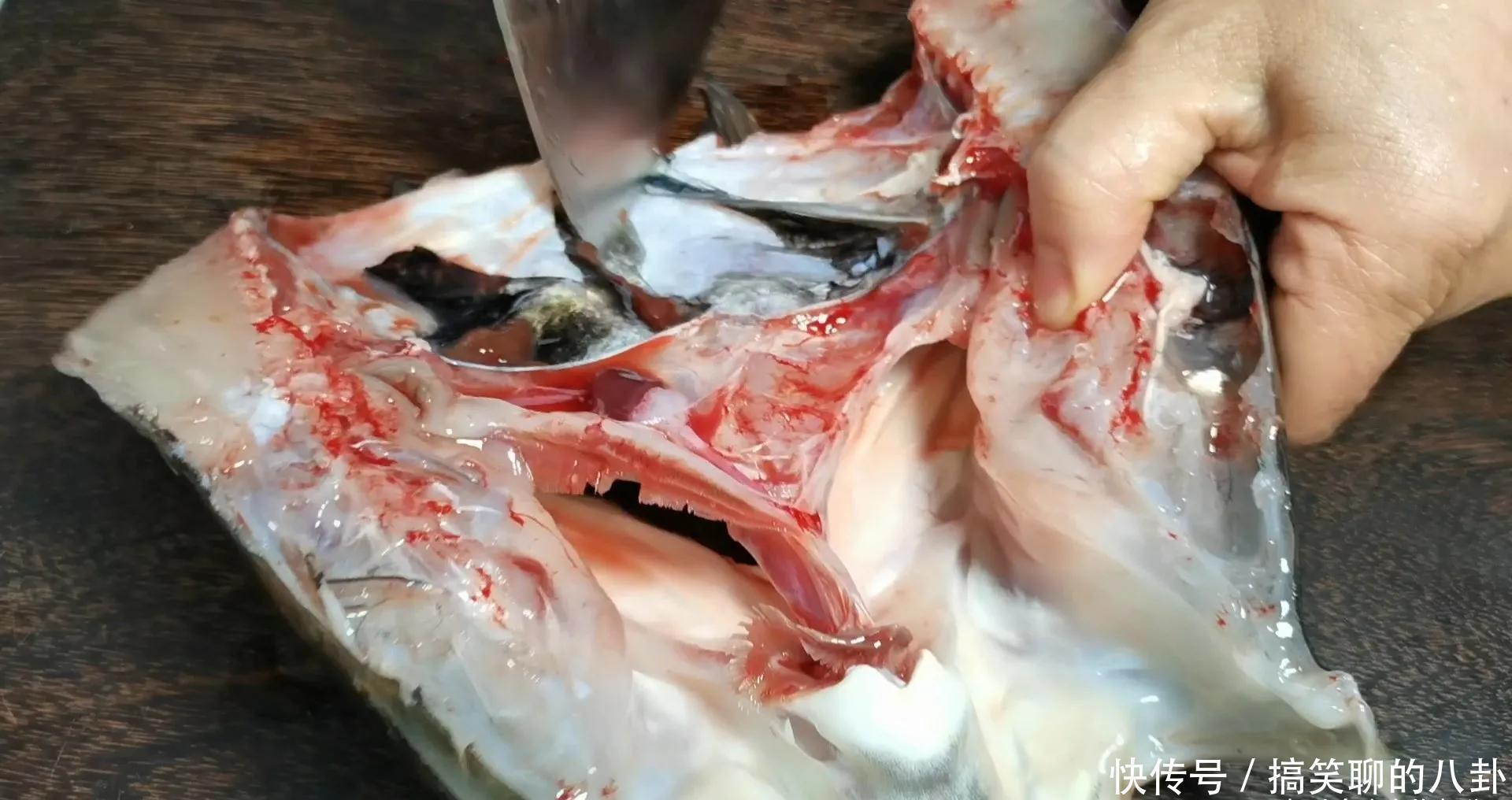 做剁椒鱼头,直接上锅蒸就错了,先做一腌一炒,鱼头鲜香还入味