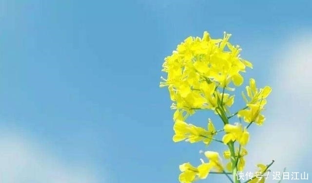 调查|如何做提问最有效?伟人《毛选》对此说了三句话,至今无人能敌