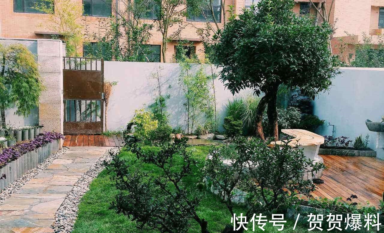 家有五树,儿孙都富!有院子建议栽5种树,看花,收果,寓意吉利