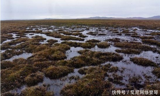 走过|回顾历史:红军当年长征时走过的草地,现在变成什么样了?