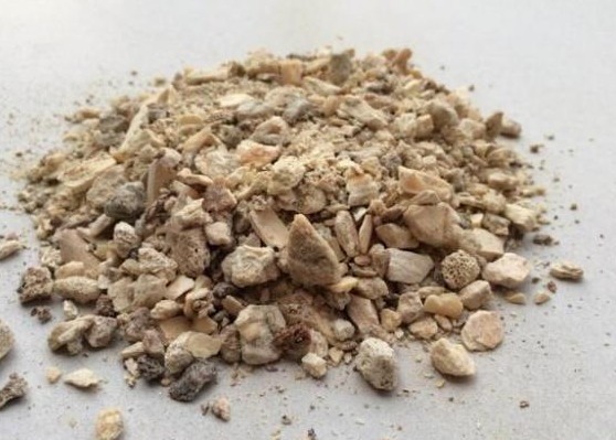 养长寿花,就用“它”,盆里加一点,叶子肥厚、花爆盆,还不花钱