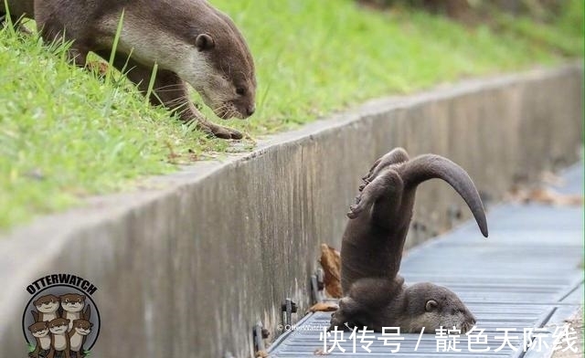 |搞笑GIF:这哥们是喝多少酒呀,一直在那抽火机