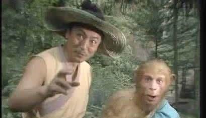 猪八戒|西游记中最小的一个角色，对孙悟空帮助很大，有一次孙悟空没听