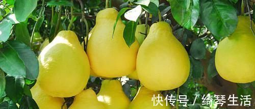 解酒毒|藏在身邊的“降壓高手”, 每天吃一點，血壓平穩身體好