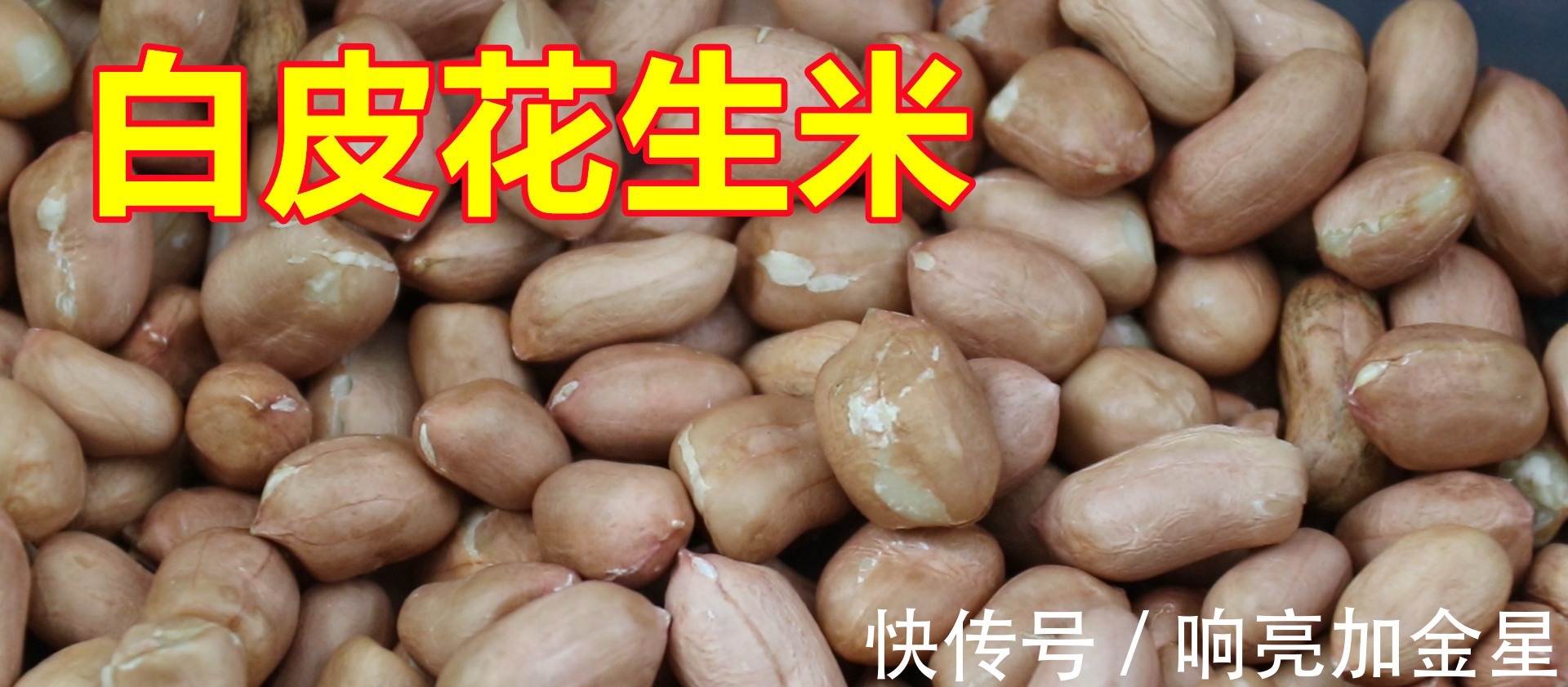 小白点|红皮花生米和白皮花生米，哪一个更有营养好多人不懂，长见识了！