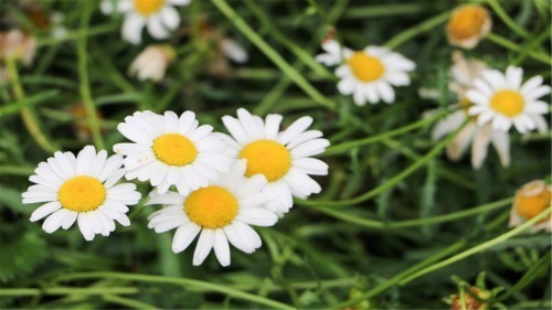 事业|出生这4个月的孩子,以后事业顺畅,还孝顺家人,看看有没有你