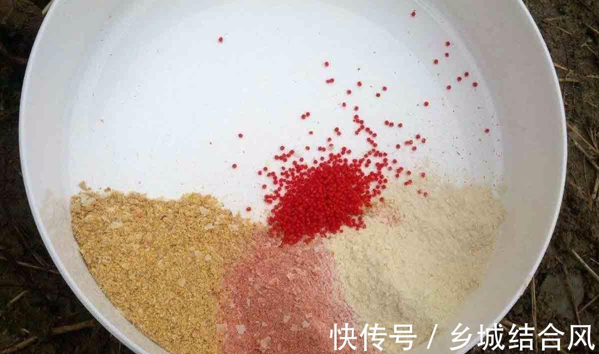 为什么总是钓不到鱼，因为你根本没弄明白钓鱼的三要素