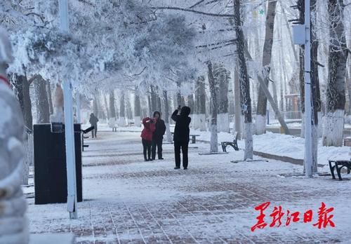 冰雪|沸腾冰雪季 乐游黑龙江｜来呼玛，感受别样冰雪之美！