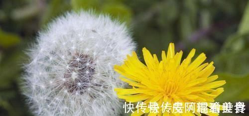 胃炎|有胃炎的人,记得常吃6种食物,消炎灭菌,帮你远离老胃病!