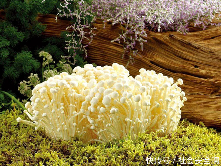 冬天来了，常吃3种食物，美容，护肤，养颜，淡斑，气色好