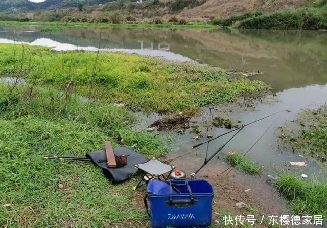 钓位|钓鱼不带竿、开饵没有盆，闲聊钓鱼那些年自己干过的蠢事