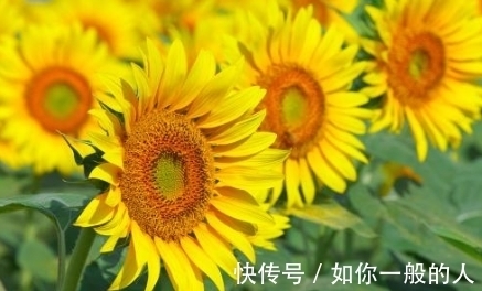 梦见|孕妇梦到这4件事,是吉兆,预示是男宝宝且大有作为