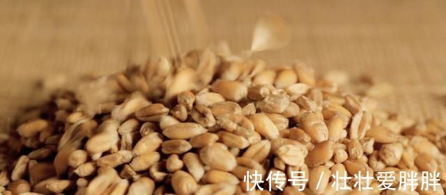 后泡|夏季野钓鲫鱼,麦粒这样用,小鱼闹窝也能钓到大板鲫!