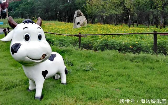 惊艳！这处百花齐放的花海师生全免费！这个暑假就约起！