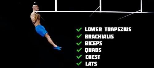 肱二头肌|关于正手vs反手引体向上，该怎么选择的问题，都有哪些肌肉参与？