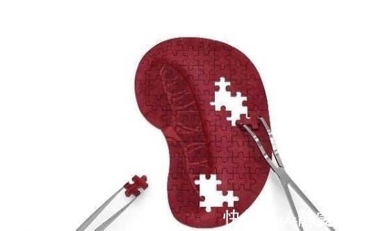 小知识|脾虚的人,身体多半会有4个“信号”,做好“2事”,脾胃慢慢变好