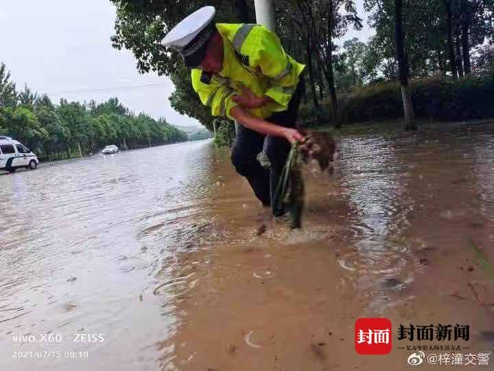 服务队|四川梓潼多个乡镇遭遇暴雨袭击 党员服务队到一线防汛减灾
