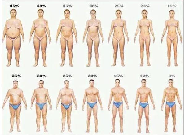 肌肉|年龄越大,如何才能更有效地减肥?教你2招,快速减肥瘦身