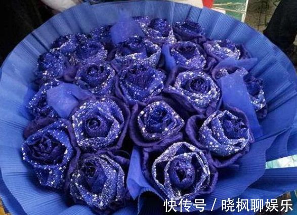 怡神|喜欢玫瑰,就养“高档玫瑰”蓝色妖姬,花中新贵,令人悦目怡神!