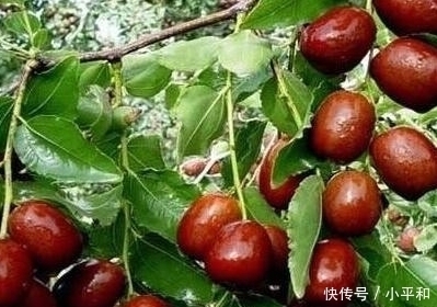 尿酸|“尿酸高”的人,少吃这3种食物尿酸回归正常,“痛风”不再来