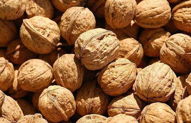 核桃性|核桃早上吃还是晚上吃很多人都弄错了,现在知道还不算晚!