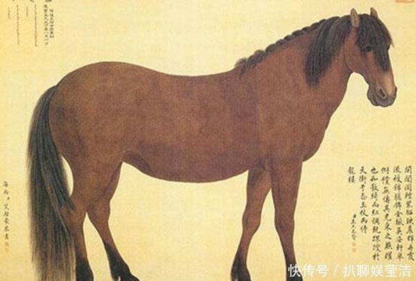 乾隆四宝马:一匹炯星骝,一匹飞霞骝,一匹足