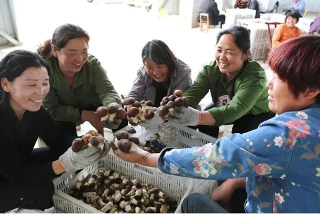 乡村|鲁山县:乡村振兴 画卷壮美