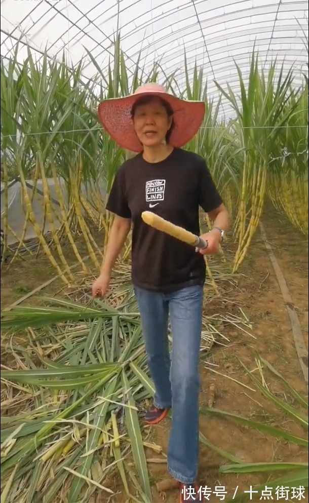 郎平|卸任女排教练后,61岁的郎平享受退休生活,未来重返女排仍有可能