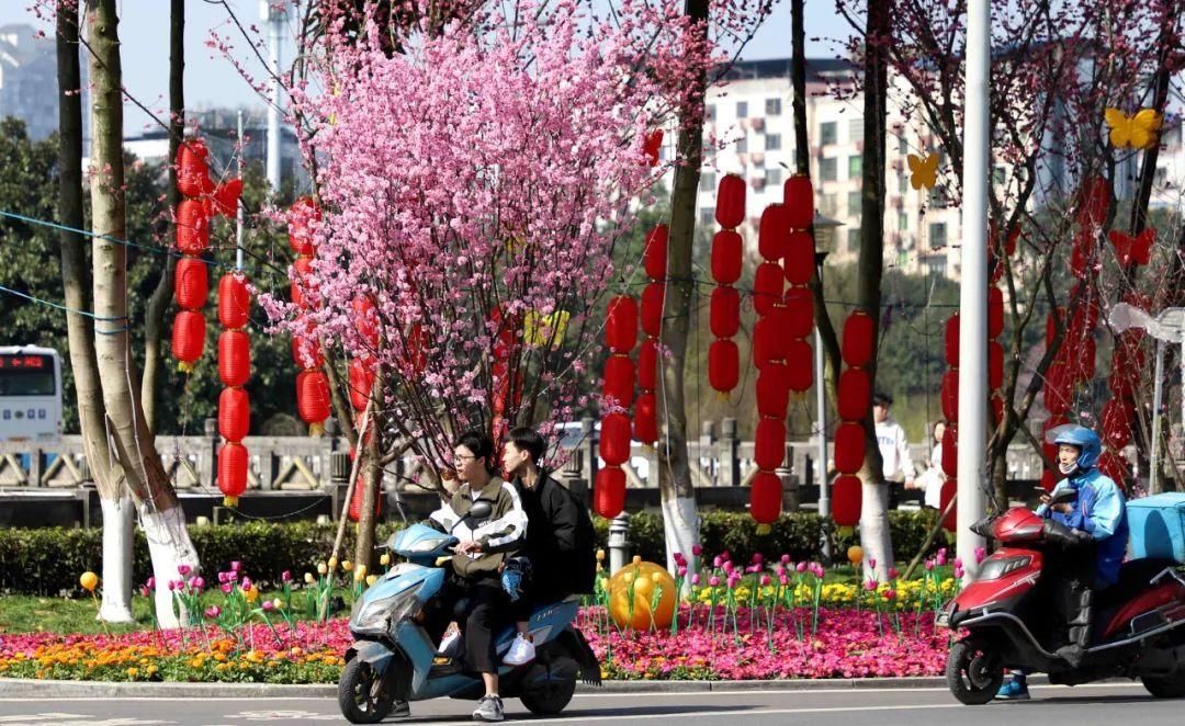 二月春光如酒浓 共赴广安花的盛宴