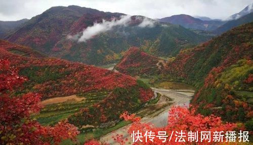 漫山|又到了凤县最“红”的季节了