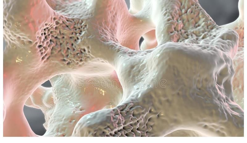 吃一次相当于10杯牛奶，医生：你若天天吃，骨骼堪称“玉骨”