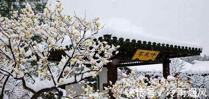 飞雪!落尽琼花天不惜,封它梅蕊玉无香—赏诗中的飞雪窥诗人心境的悲凉