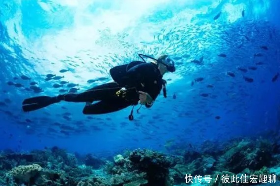 时标|除了劳力士水鬼,这些潜水表一样十分优秀