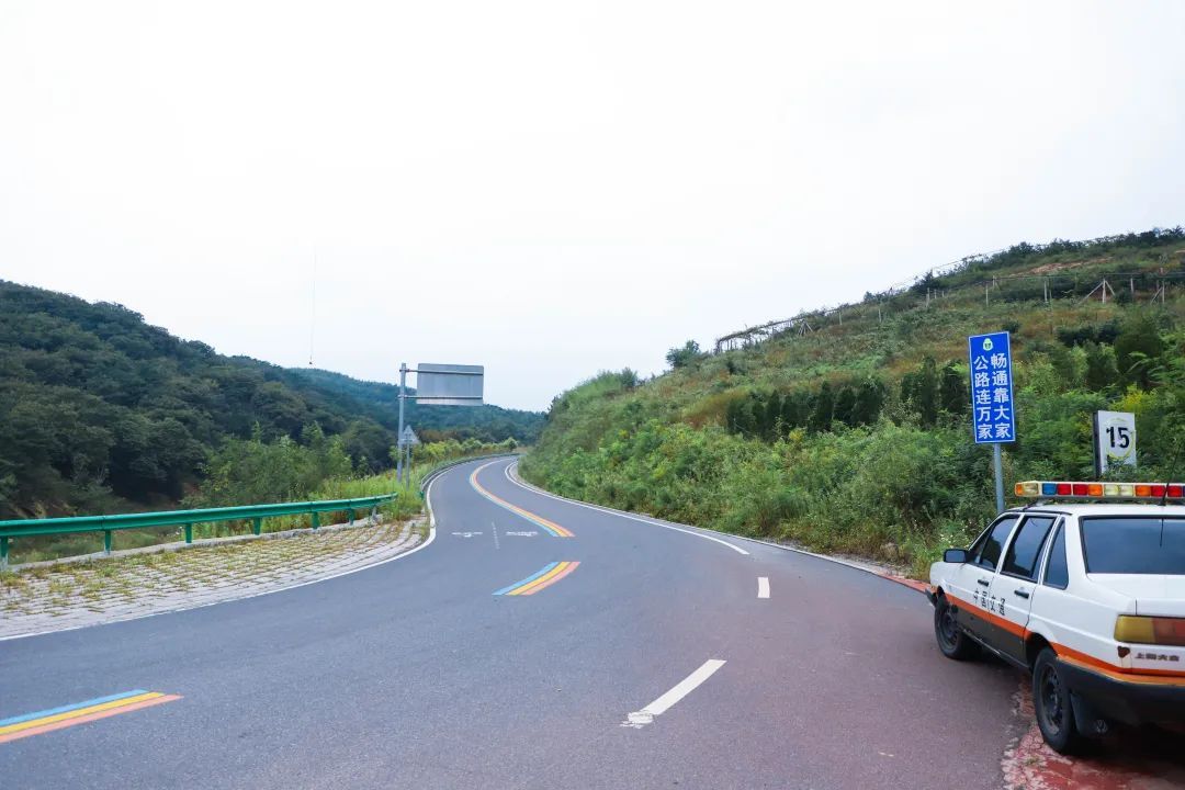 齐鲁风情5号路,把绿水青山带成金山银山|“沿着公路看乡村振兴”①| 樱桃树