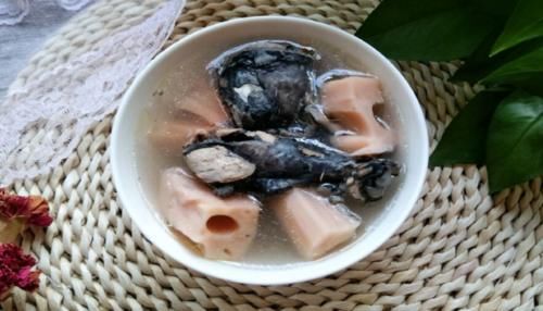 春季进补，多给家人喝这汤，简单炖一炖，补血养血，脸色红润透亮