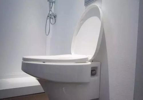 水箱|越来越多人都不装老式马桶了,现在流行用它替代,好用又省地